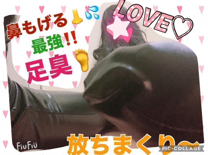 出品者名-写真